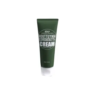Derma Factory Houttuynia Cordata 71% Cream, 60 g