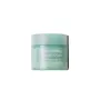 Bad Skin Artemisia Relief Moisture Cream, 100 ml